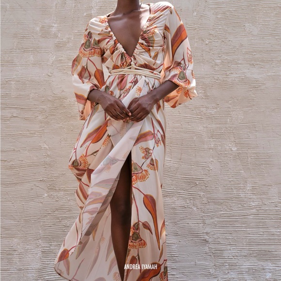 Andrea Iyamah Neema Printed Maxi Dress - Picture 3 of 4